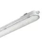 Philips Réglette LED Étanche CoreLine WT120C G2 68W 8000lm - 840 Blanc Froid | 150cm 