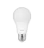Noxion Pro LED E27 Peer Mat 5.5W 470lm - 827 Zeer Warm Wit | Dimbaar - Vervangt 40W